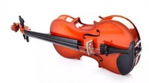 压板琴的辨别方法