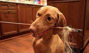 孩子在家怎样调音