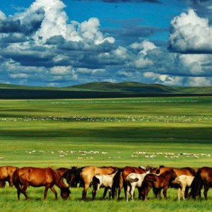 《美丽的草原我的家》伴奏