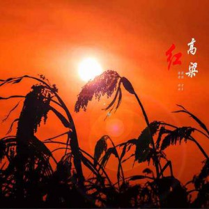 方玉钧制作《九儿》电视剧《红高粱》插曲伴奏（mp3）