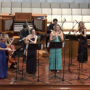 巴赫《勃兰登堡协奏曲》第二首中文字幕赏析