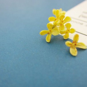 《八月桂花遍地开》记谱再改编演奏