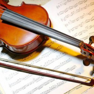 让你快速鉴别一把小提琴