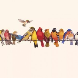 小提琴小品《多嘴多舌波尔卡》