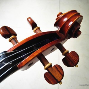 【秦红柏提琴工作室】E30使用体会
