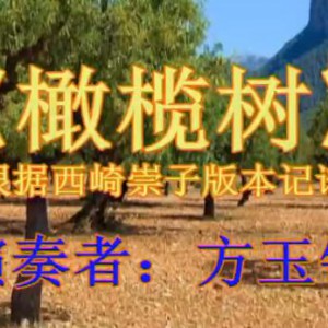 《橄榄树》西崎崇子版本记谱演奏