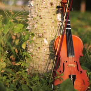 谈谈小提琴学习中的慢练