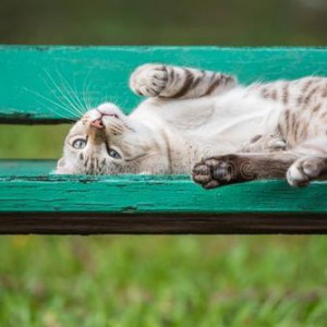 怎么样练琴之放松篇