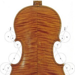 小提琴背板花纹与其音色的关系