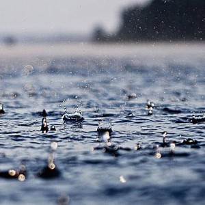 为已写好的旋律征歌词