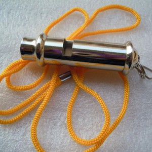 E弦哨音的讨论者,请听名家