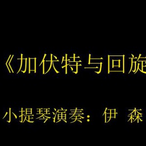 巴赫的《加伏特与回旋曲》伊森演奏