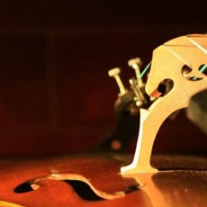 小提琴琴码你了解多少