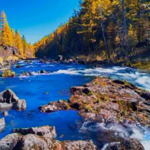 《小河淌水》陈蓉晖版本记谱演奏