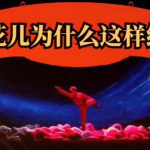 《花儿为什么这样红》演奏沈从龙