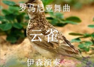 罗马尼亚舞曲《云雀》小提琴演奏：伊森