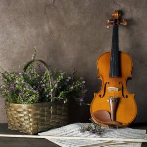 成人学小提琴需要明白的几个道理