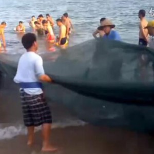 小提琴曲《丰收渔歌》伊森演奏