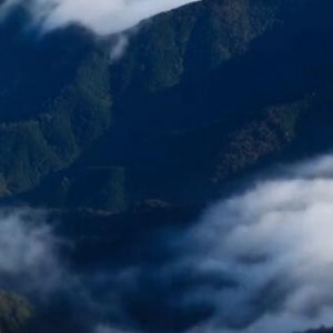 什么是原生态唱法？