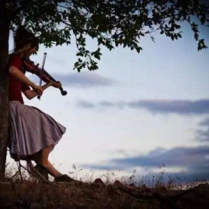 小提琴音色是如何辨别的