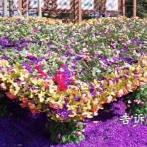 小提琴独奏曲《斯卡布罗集市》谢永雄编曲