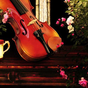 练琴“五要五不要”