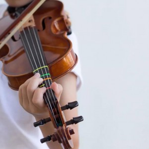 成人学琴阶段性心得