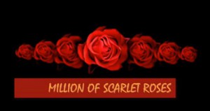百万朵玫瑰