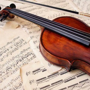 和大家聊聊我学琴的经验吧