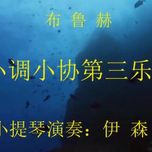 布鲁赫《g小调协奏曲第三乐章》伊森演奏