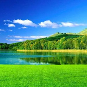 自个拉的自个写的