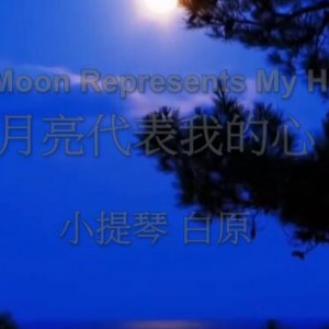 七夕奏一曲<月亮代表我的心>