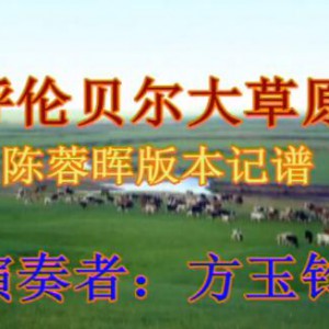 《呼伦贝尔大草原》陈蓉晖版本记谱演奏