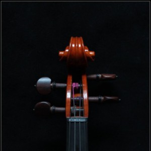 “斯特拉地瓦”字母如何正确拼写？