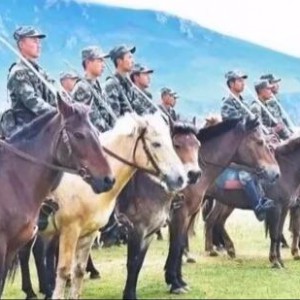 小提琴演奏《战马奔腾》伊森演奏