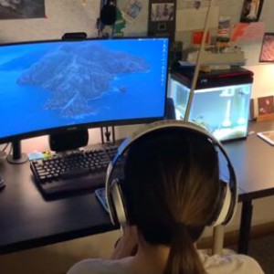 《在那桃花盛开的地方》