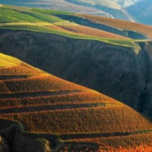 《山丹丹开花红艳艳》