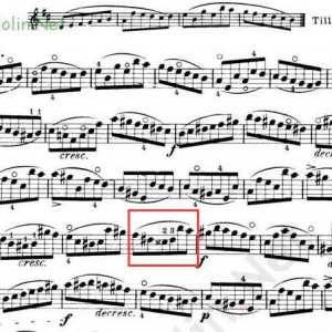 音符前为什么要加重升符号（X）？