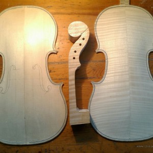 斯特拉地瓦利的秘密