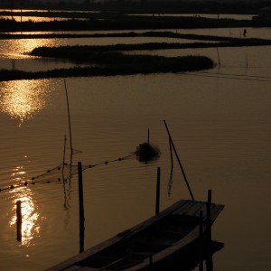 电提琴演奏《在水一方》