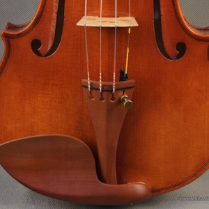 成人学琴一定要有老师