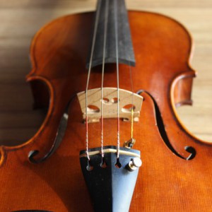 揉弦练习方法，主要是揉弦改进用，非初学教学用