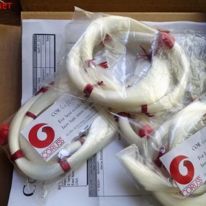 马尾的构造，以及新旧弓毛的显微镜显示