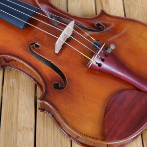 我这样看待成年人学琴