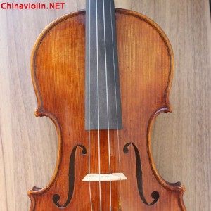 交流体会：学琴为了什么？