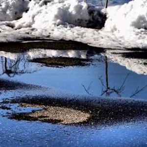 《春天小夜曲》金智妍演奏