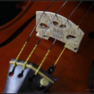 【讨论】练习曲需要练到什么地步才可以换下一个？