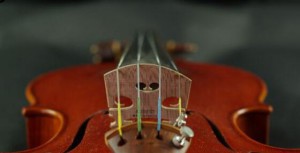 关于恢复小提琴水平的方法