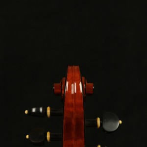 关于把位练习的过程的建议