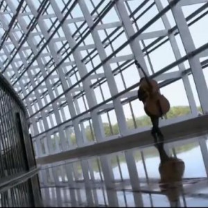 纪录片《我为乐狂》片段